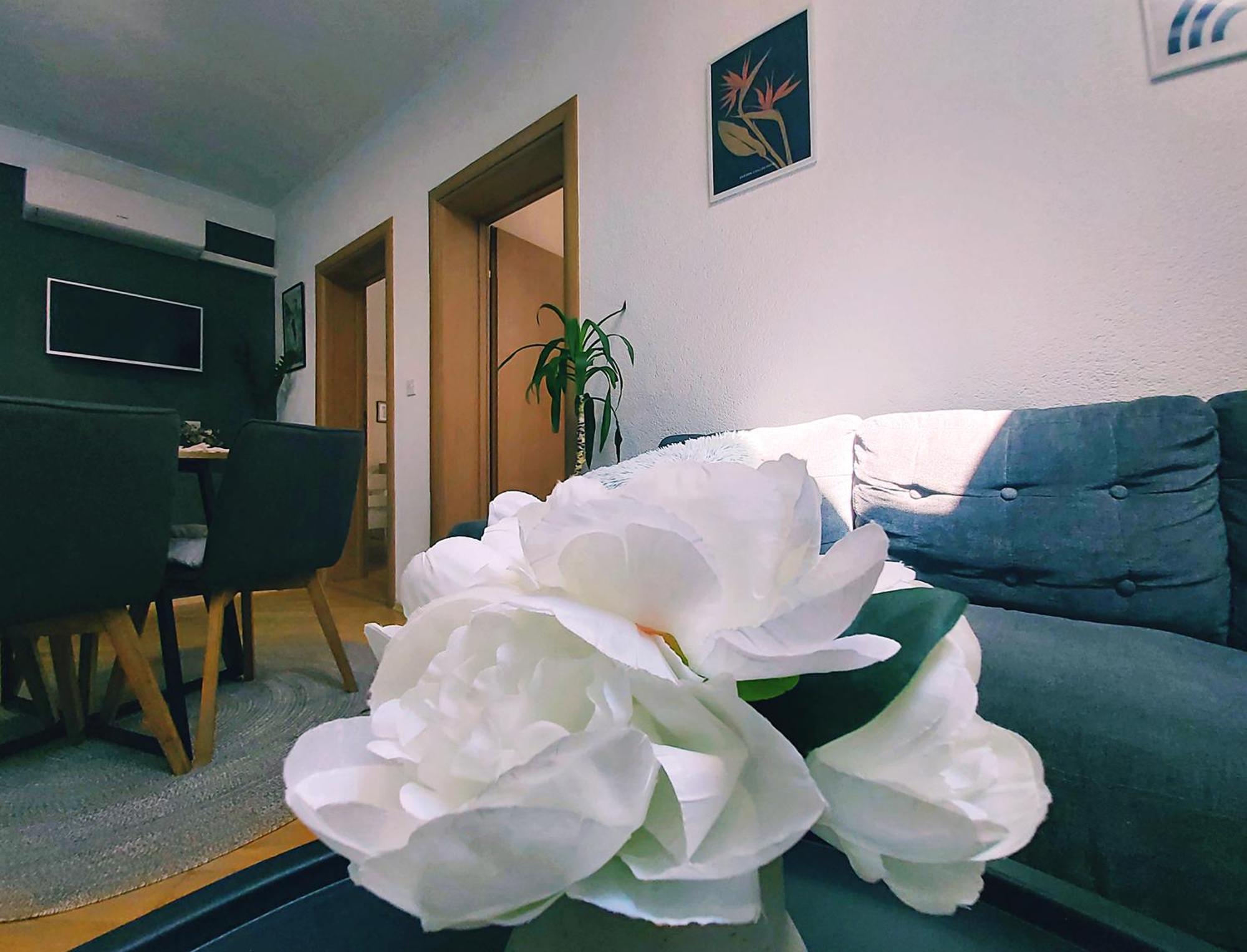 Zara Apartment With Terrace Near Old Town 莫斯塔尔 外观 照片